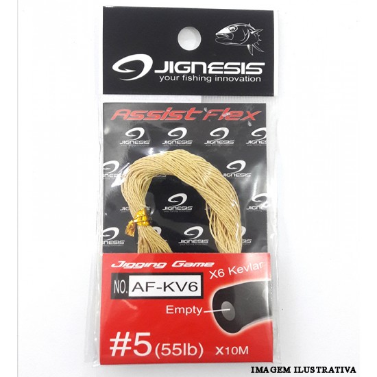 Linha de Kevlar - 55lb #5 -No. AF-KV6 - Jignesis