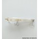 Isca Artificial Rip’n Minnow 90 – 9cm – 7g - #02 - Cultiva (USADA)