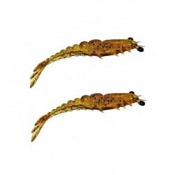Camarão Maré Articulado 7cm 2,5g c/2un cor Red Chá